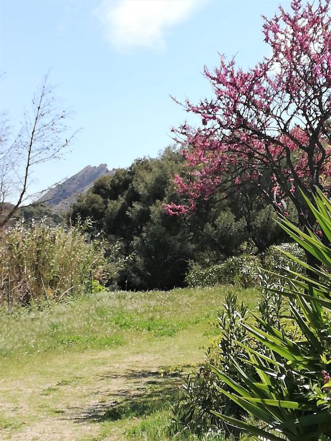 Studio 28M2 Climatise,Wifi, Proche Des Calanques,Plages La Ciotat Exterior foto